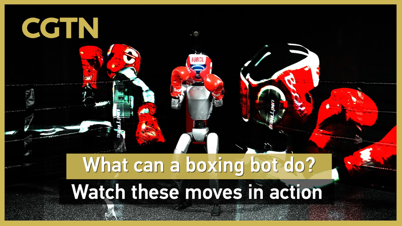 Boxing_Bots_Knock_Out_Limits_in_Hangzhou video poster