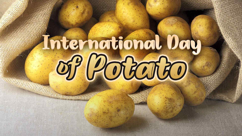 Celebrate_International_Day_of_Potato__A_Global_Tribute - Namaste Headlines Celebrate_International_Day_of_Potato__A_Global_Tribute