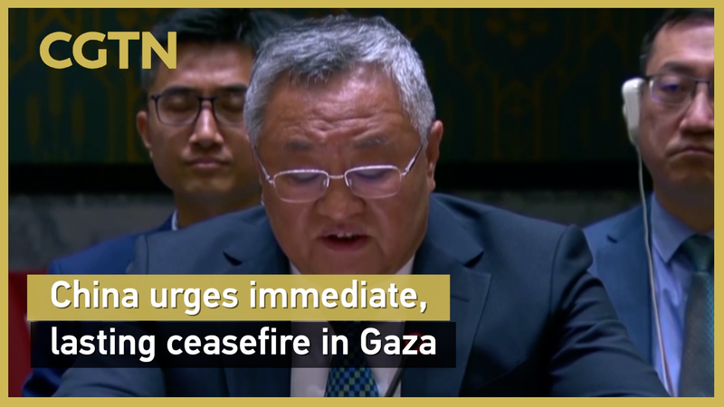 China Calls for Immediate Ceasefire in Gaza Amid Crisis China_Calls_for_Immediate_Ceasefire_in_Gaza_Amid_Crisis video poster