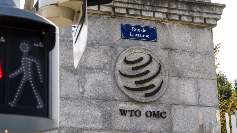 China_Champions_WTO___Free_Trade_for_Global_Stability