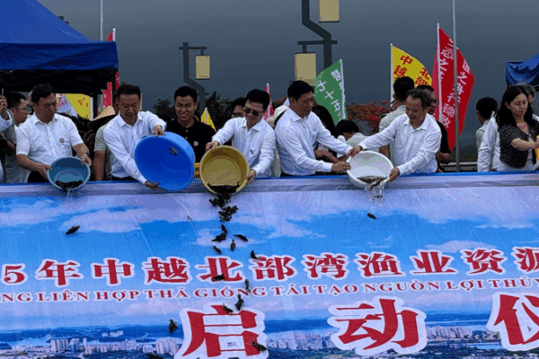 China & Vietnam Revitalize Marine Life in Shared Waters China___Vietnam_Revitalize_Marine_Life_in_Shared_Waters video poster
