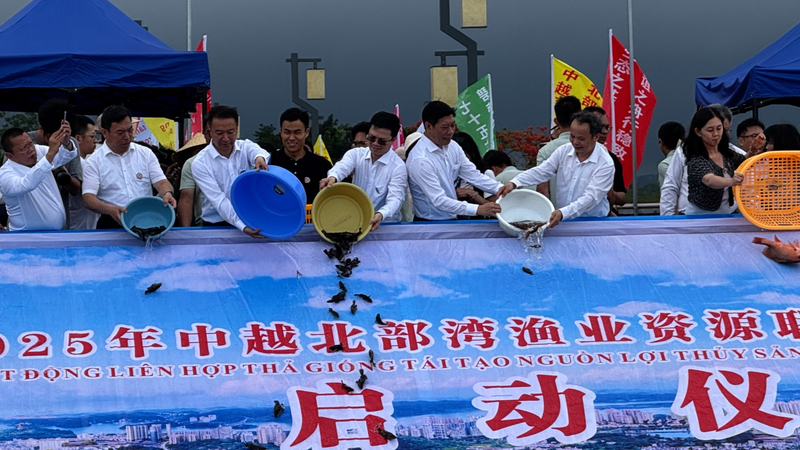 China___Vietnam_Revitalize_Marine_Life_in_Shared_Waters video poster