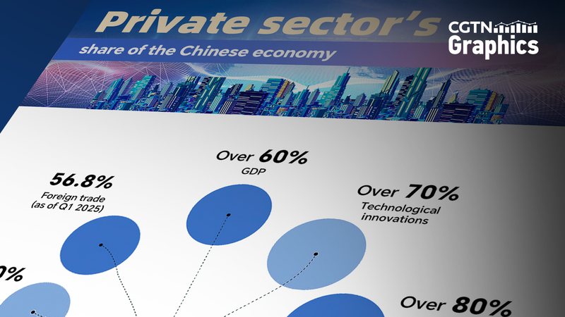 China_s_First_Private_Economy_Law_Boosts_Growth