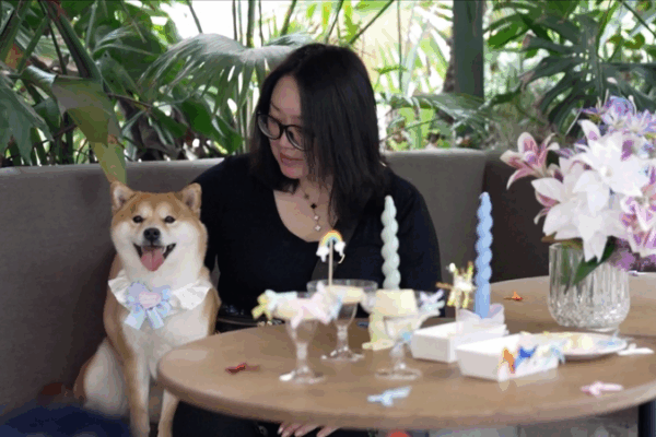China’s Pet Scene Revolution: Doggy Dining & Daycare Delights China_s_Pet_Scene_Revolution__Doggy_Dining___Daycare_Delights video poster