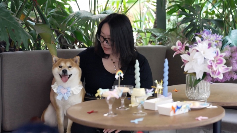 China_s_Pet_Scene_Revolution__Doggy_Dining___Daycare_Delights video poster