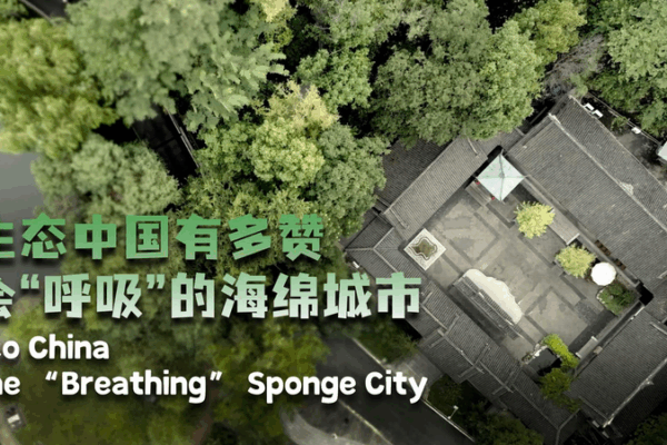 Chongqing’s ‘Breathing’ Sponge City Revolutionizes Urban Living Chongqing_s__Breathing__Sponge_City_Revolutionizes_Urban_Living video poster