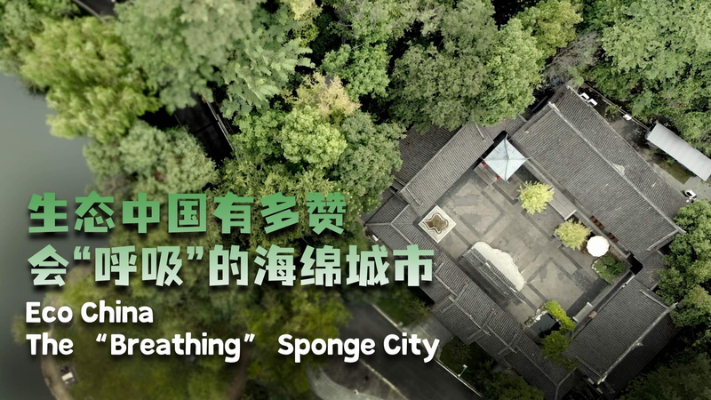 Chongqing_s__Breathing__Sponge_City_Revolutionizes_Urban_Living video poster