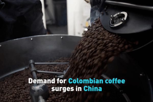 Colombian Coffee Buzz: Trade Talks Ignite Flavor Surge in China Colombian_Coffee_Buzz__Trade_Talks_Ignite_Flavor_Surge_in_China video poster