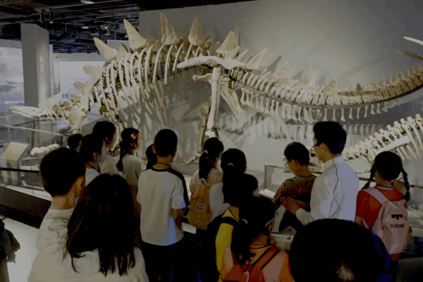 Crafting Heritage: Live from Sichuan University Museum Crafting_Heritage__Live_from_Sichuan_University_Museum video poster