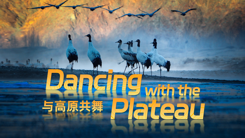 Dancing_with_the_Plateau__A_4K_Nature_Odyssey video poster