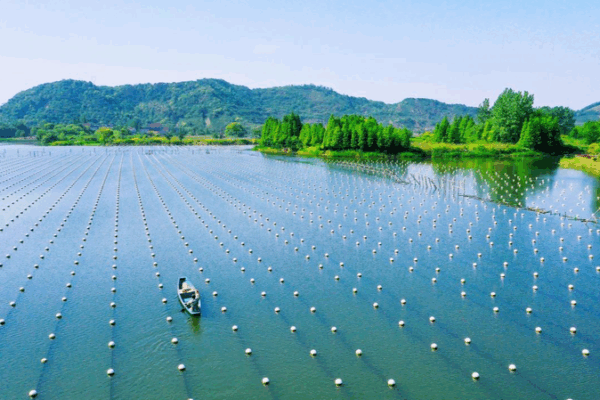 Deqing’s Aquaculture Gem Earns Global Recognition Deqing_s_Aquaculture_Gem_Earns_Global_Recognition