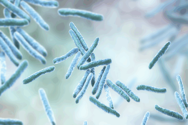 Engineered Bacteria Tackle Wastewater Pollutants Engineered_Bacteria_Tackle_Wastewater_Pollutants