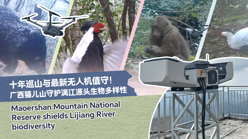 Farewell_Trek__A_Veteran_Ranger_s_Legacy_in_Mao_er_Mountain