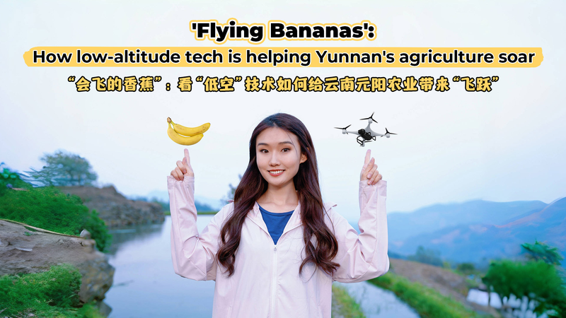 Flying_Bananas__Drones_Transform_Yunnan_Farming video poster