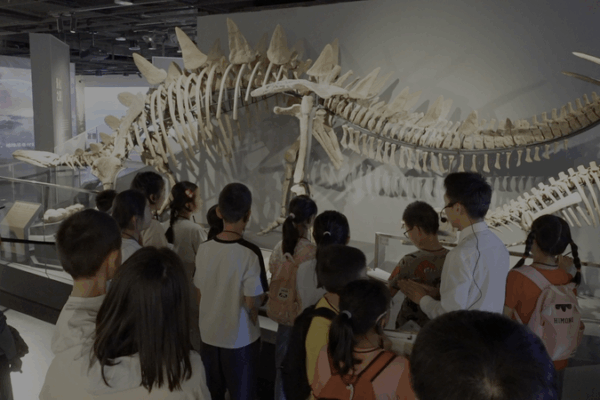 From Owl Pellets to Big Ideas: Museums as Classrooms From_Owl_Pellets_to_Big_Ideas__Museums_as_Classrooms video poster