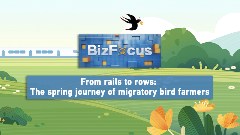 From_Rails_to_Rows__Migrant_Farmers_Embrace_Tech_in_Spring_Journey video poster