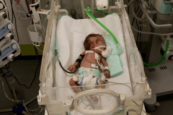 Gaza Crisis: UN Warns 14K Babies Face Death in 48 Hours Gaza_Crisis__UN_Warns_14K_Babies_Face_Death_in_48_Hours