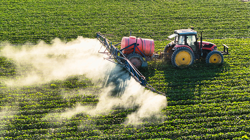 Golden_Week_Spotlight__Xinjiang_s_Smart_Cotton_Revolution_poster - Namaste Headlines Golden_Week_Spotlight__Xinjiang_s_Smart_Cotton_Revolution video poster