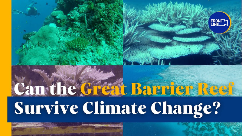 Great Barrier Reef Battles Climate Change Crisis Great_Barrier_Reef_Battles_Climate_Change_Crisis video poster