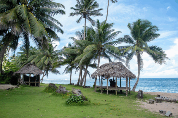 Green_Alliance__The_Chinese_Mainland___Pacific_Islands_Unite_for_Climate_Resilience