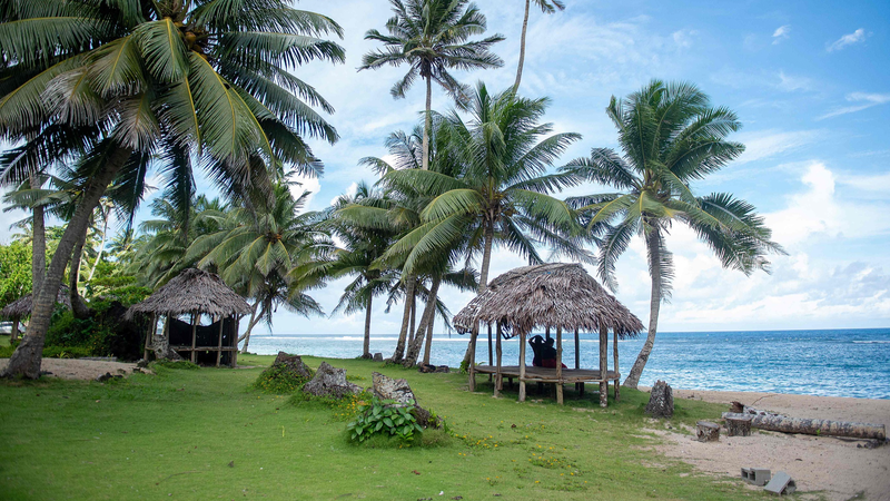 Green_Alliance__The_Chinese_Mainland___Pacific_Islands_Unite_for_Climate_Resilience