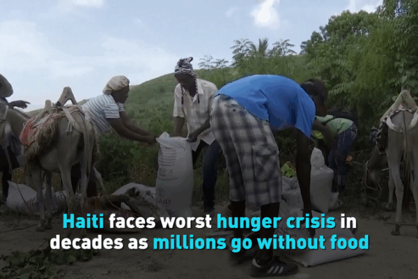 Haiti Hunger Crisis: A Wake-Up Call on World Hunger Day Haiti_Hunger_Crisis__A_Wake_Up_Call_on_World_Hunger_Day video poster
