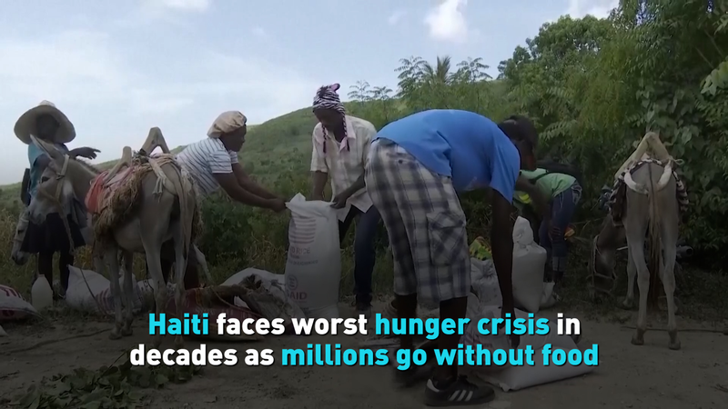 Haiti_Hunger_Crisis__A_Wake_Up_Call_on_World_Hunger_Day video poster