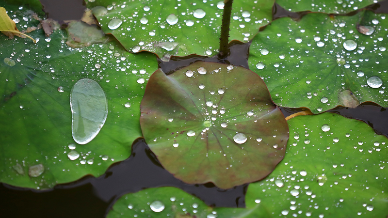 Heavy_Rain___Flood_Alerts_on_the_Chinese_Mainland