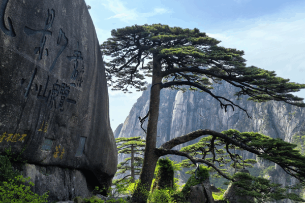 Huangshan’s Scenic Charms Spark a Tourism Boom Huangshan_s_Scenic_Charms_Spark_a_Tourism_Boom