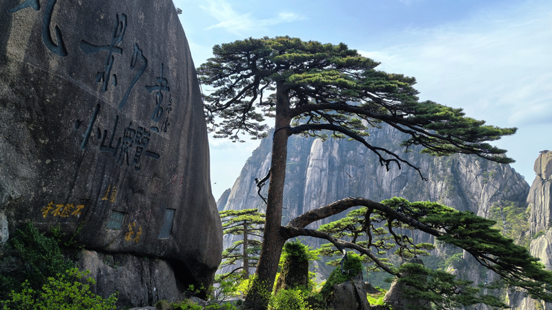 Huangshan_s_Scenic_Charms_Spark_a_Tourism_Boom
