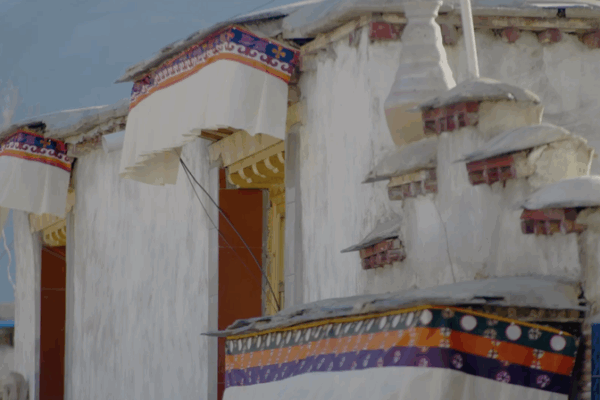 I_Was_a_Serf__A_Captivating_Journey_through_Xizang video poster