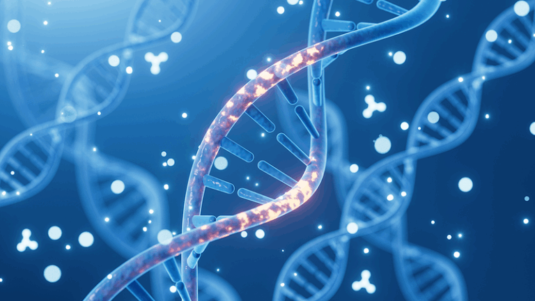 Iron_Gene_Variant_Doubles_Dementia_Risk_in_Men__Australian_Study