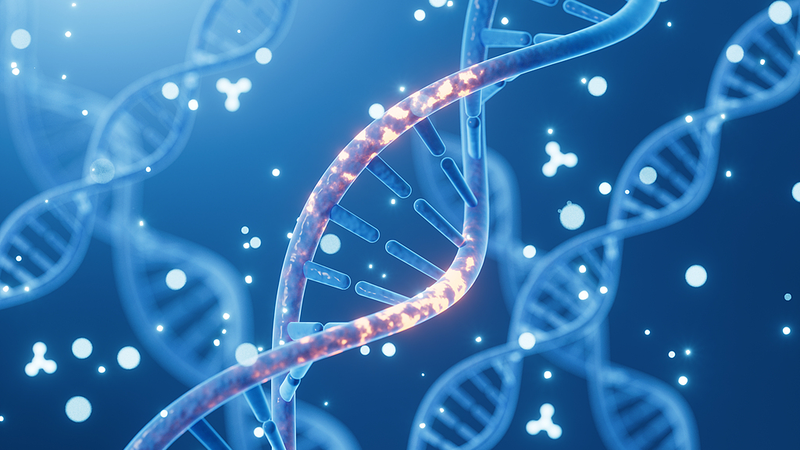 Iron_Gene_Variant_Doubles_Dementia_Risk_in_Men__Australian_Study - Namaste Headlines Iron_Gene_Variant_Doubles_Dementia_Risk_in_Men__Australian_Study