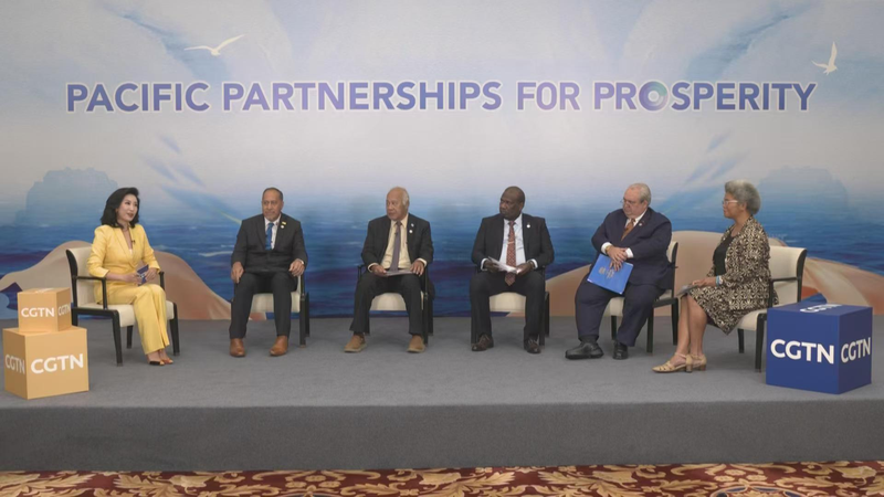 Pacific Partnerships: Vibrant Roundtable in Xiamen Pacific_Partnerships__Vibrant_Roundtable_in_Xiamen video poster