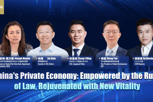 Private Sector Promotion Law Ushers in Innovation on the Chinese mainland Private_Sector_Promotion_Law_Ushers_in_Innovation_on_the_Chinese_mainland video poster