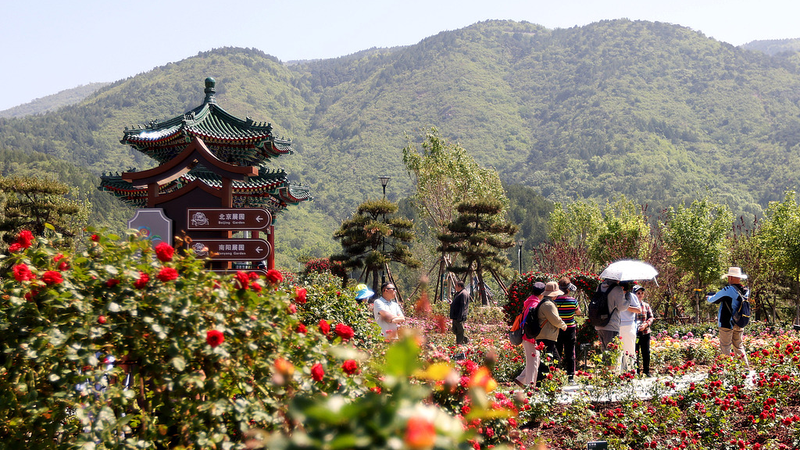 R87PTQR1YKIN51UE5L01 - Namaste Headlines AI & Roses: Beijing’s Innovative Tourism Boost