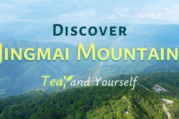 Rediscover Yourself: Jingmai Mountain & Tea Culture Adventure Rediscover_Yourself__Jingmai_Mountain___Tea_Culture_Adventure video poster