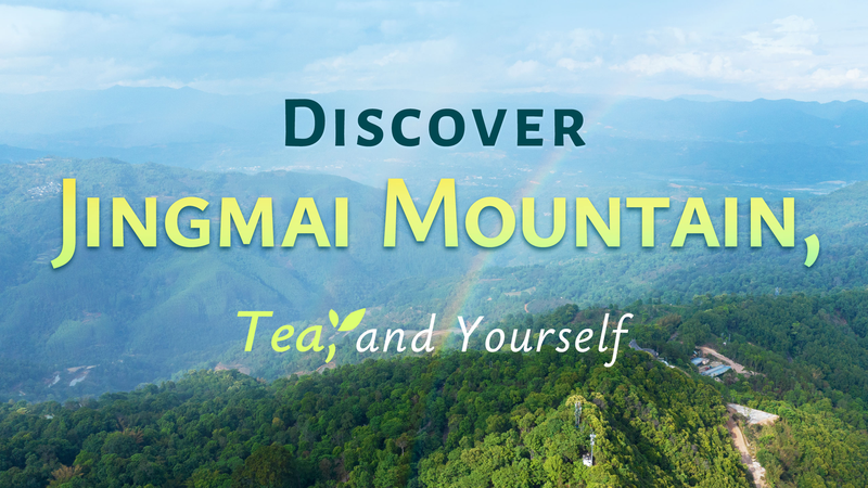 Rediscover_Yourself__Jingmai_Mountain___Tea_Culture_Adventure video poster