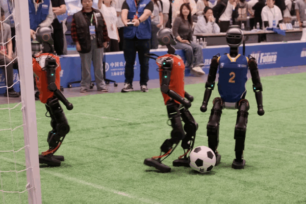 Robot Revolution: 2025 Humanoid Skills in Action Robot_Revolution__2025_Humanoid_Skills_in_Action video poster