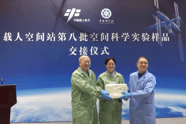 Shenzhou-19 Space Samples Spark New Scientific Insights Shenzhou_19_Space_Samples_Spark_New_Scientific_Insights