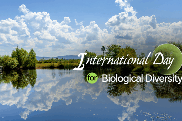 Tech-Powered Biodiversity Day: Yichun Celebrates Harmony with Nature Tech_Powered_Biodiversity_Day__Yichun_Celebrates_Harmony_with_Nature