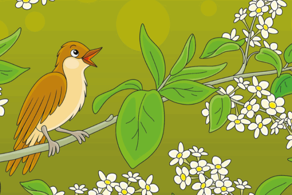 The Nightingale: Authentic Melody in a Chinese Fairy Tale The_Nightingale__Authentic_Melody_in_a_Chinese_Fairy_Tale