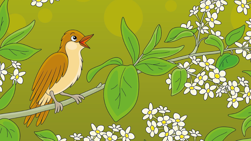 The_Nightingale__Authentic_Melody_in_a_Chinese_Fairy_Tale