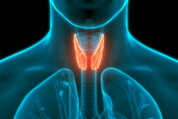 Thyroid Health Takes Center Stage in the Chinese Mainland Thyroid_Health_Takes_Center_Stage_in_the_Chinese_Mainland