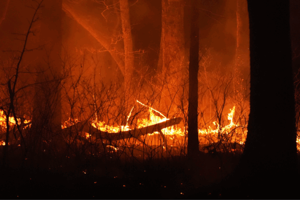 U.S. Wildfire Smoke: 15K Deaths & $160B Damage U_S__Wildfire_Smoke__15K_Deaths____160B_Damage