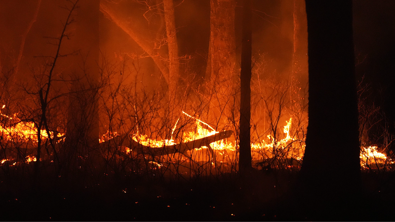 U_S__Wildfire_Smoke__15K_Deaths____160B_Damage