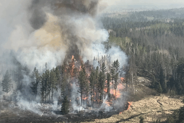 Wildfires Threaten Global Forest Recovery, Study Warns Wildfires_Threaten_Global_Forest_Recovery__Study_Warns
