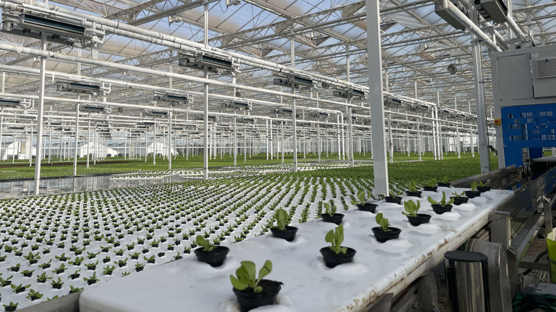 Xi_Cheers_SCO_Forum_on_Poverty_Relief___Sustainable_Development