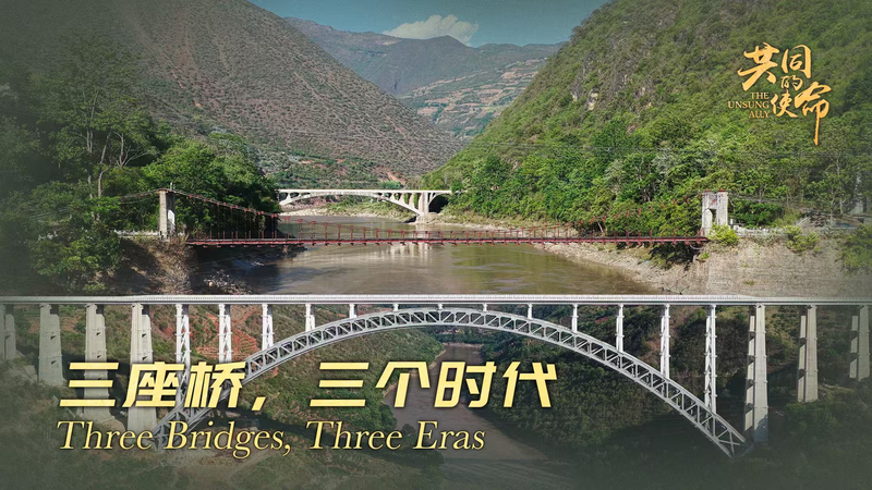The Unsung Ally｜Three Bridges, Three Eras video poster