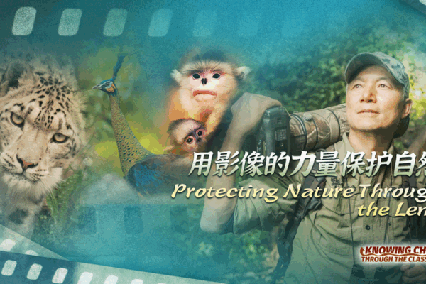 40 Years of Wildlife Conservation Through Xi Zhinong’s Lens 40_Years_of_Wildlife_Conservation_Through_Xi_Zhinong_s_Lens video poster